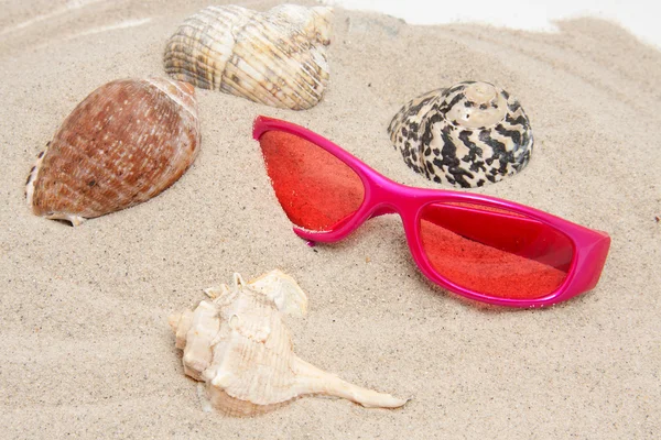 Óculos de sol rosa e conchas na praia — Fotografia de Stock
