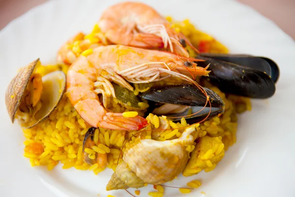 与传统的西班牙海鲜饭板 — 图库照片
