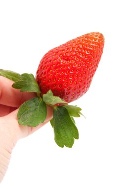 Hand is holding strawberry clipart