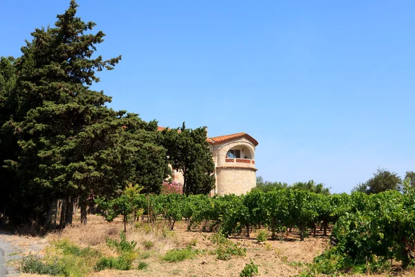 Vineyard with beautiful house — Stock Photo, Image