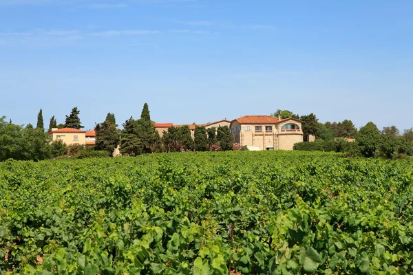 Vineyard with beautiful house — Stock Photo, Image