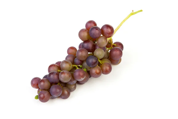 Кластер голубого винограда — стоковое фото
