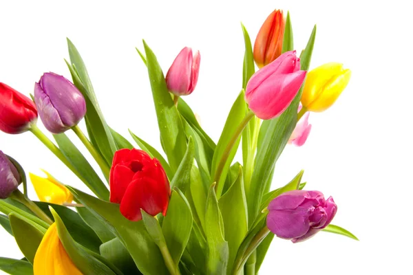 Ramo de tulipanes coloridos —  Fotos de Stock