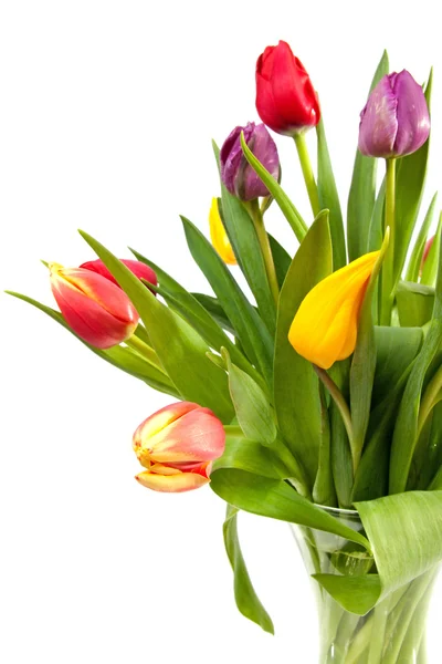 Ramo de tulipanes coloridos — Foto de Stock
