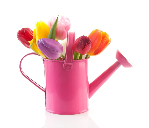 Annaffiatoio rosa con tulipani colorati — Foto Stock