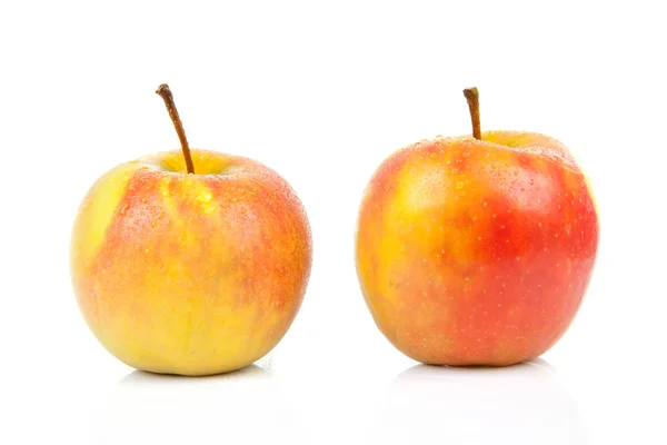 Två saftiga röda med gula äpplen — Stockfoto
