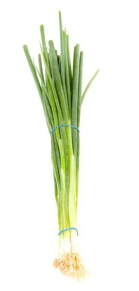 Bunch of fresh spring onions — Stock Photo, Image