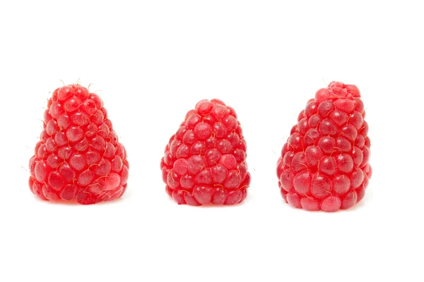 Tre friske hindbær - Stock-foto