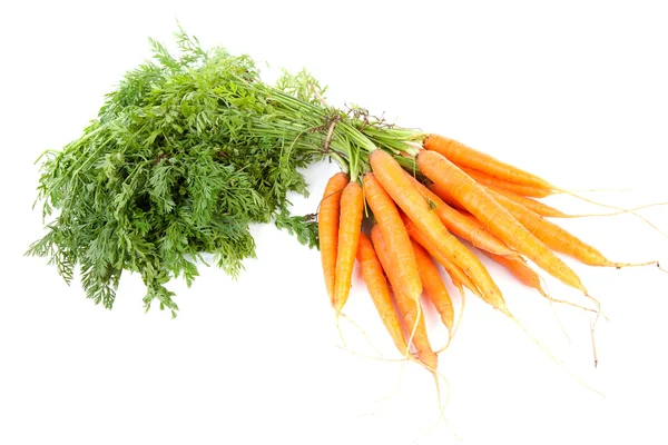 Bunch of fresh carrots — Stock Photo, Image