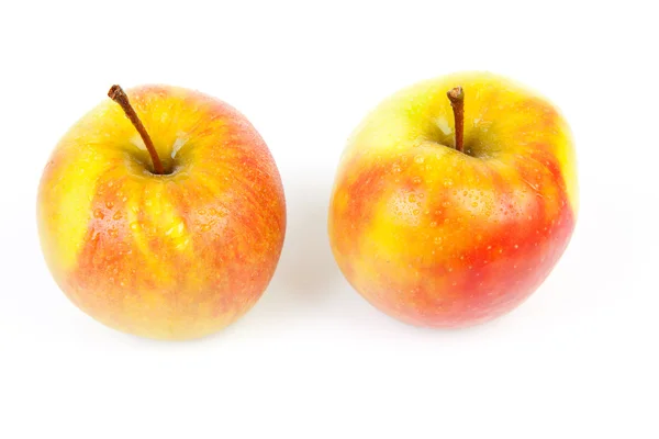 Två saftiga äpplen med vattendroppar — Stockfoto