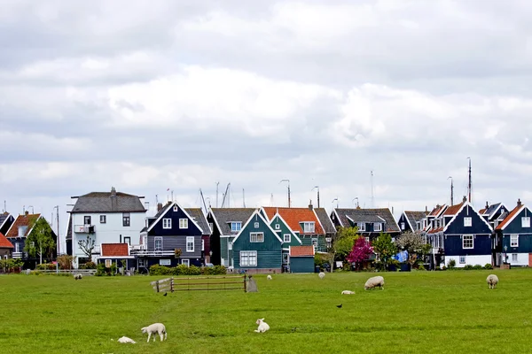 Typical Dutch houses — Stock Photo, Image