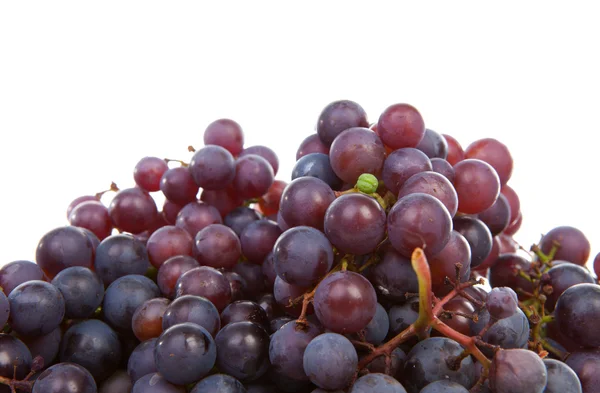 Груда голубого винограда — стоковое фото