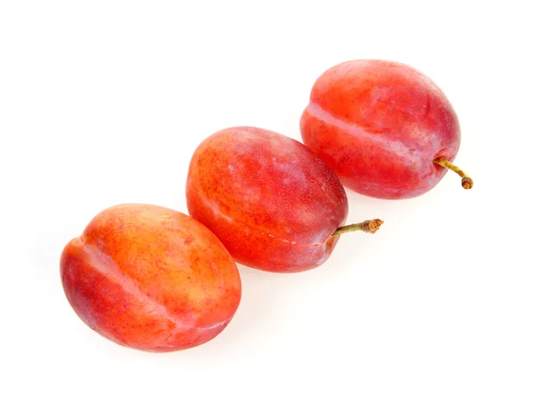 Couple of plums in closeup — Stock Photo, Image