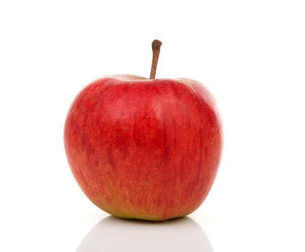 Jeden czerwone jabłko — Zdjęcie stockowe