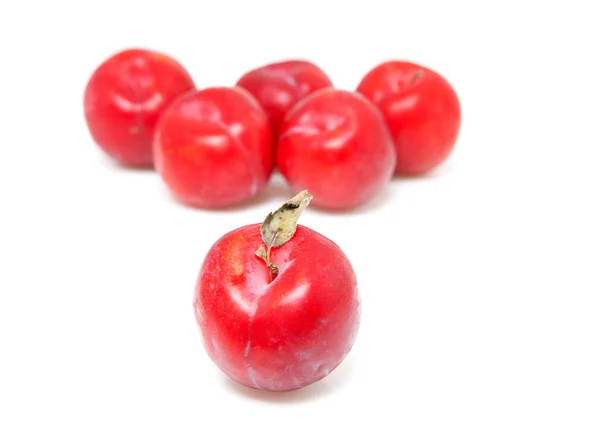 Couple of red plums — Stock Photo, Image