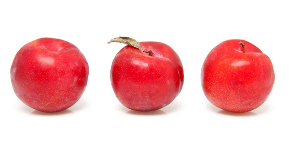Três ameixas vermelhas — Fotografia de Stock