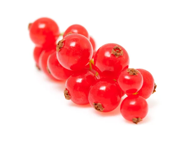 Berries of red currant — Stock Photo, Image