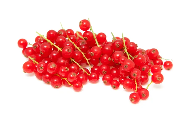 Pile berries of red currant — Stock Photo, Image