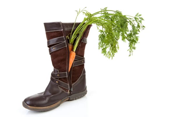 Dutch tradition: shoe with carrot — Stock Photo, Image