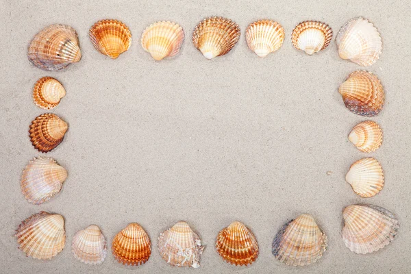 Zand met frame van schelpen — Stockfoto