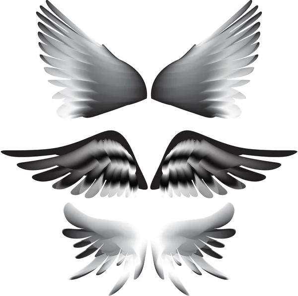 Vecteur silhouette ailes — Image vectorielle