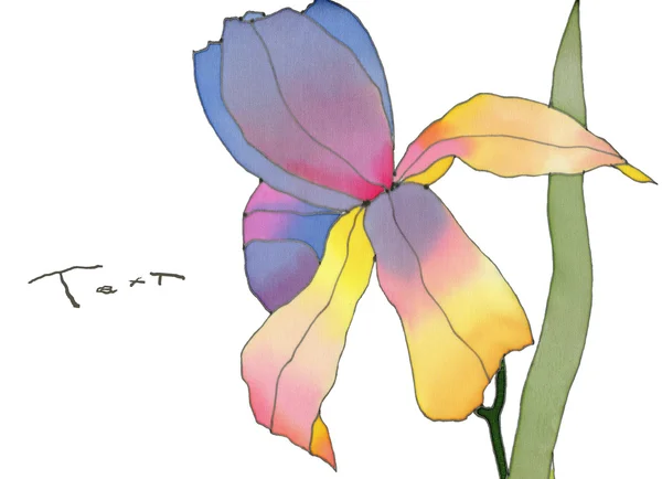 Batik iris izole — Stok fotoğraf