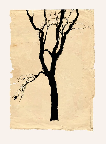 Tree shabby paper pencil drawing — Stock Photo, Image