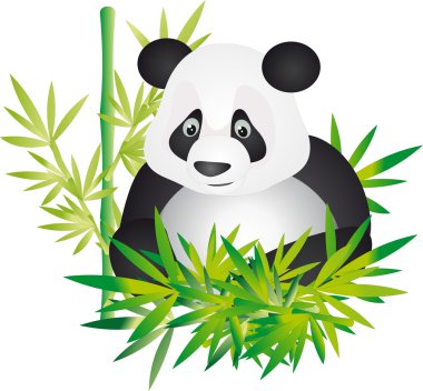 Panda vector clipart