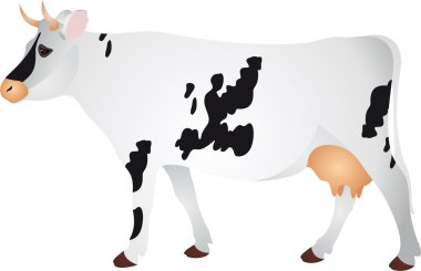 Cow vector clipart