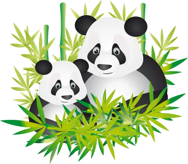 Panda vektör — Stok Vektör