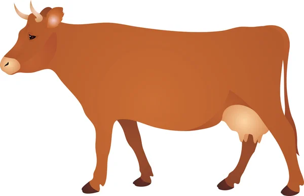 Διάνυσμα αγελάδας — Διανυσματικό Αρχείο