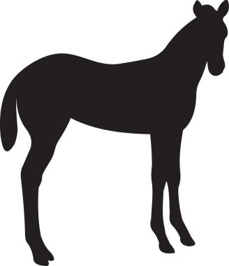 Horse vector clipart