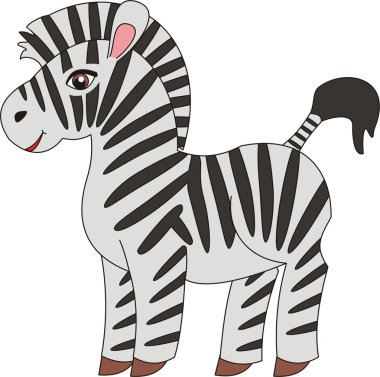 Zebra vektör