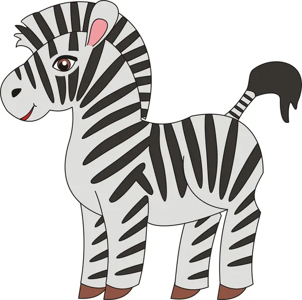 Zebra vektor — Stockový vektor