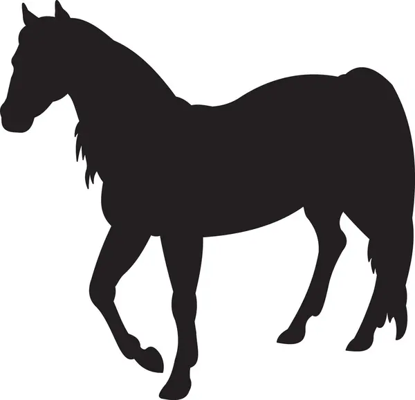 Vetor de cavalo — Vetor de Stock