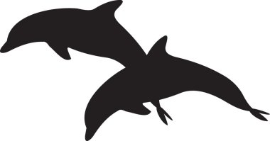 Dolphin vector clipart