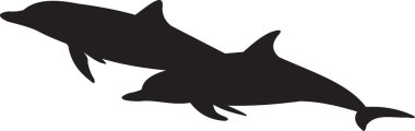 Dolphin vector clipart