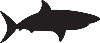 Shark vector clipart