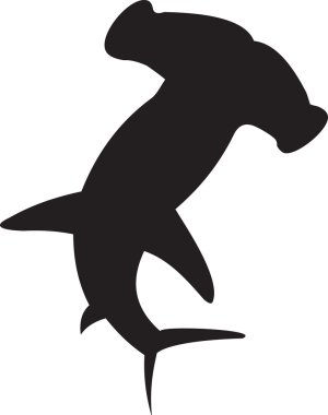 Shark vector clipart