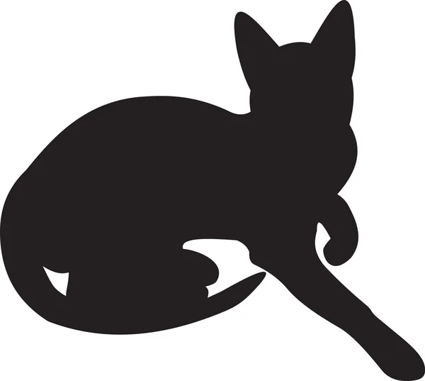 Wektor kotów — Wektor stockowy