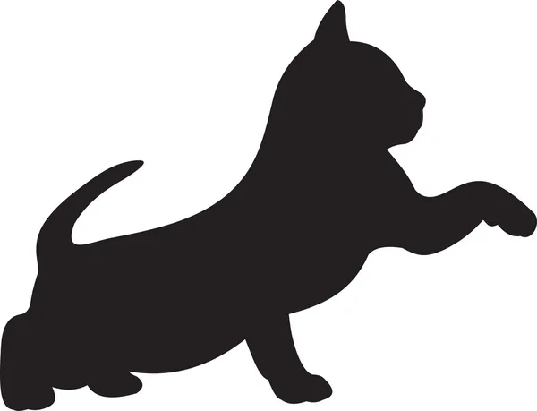 Кішка вектор — стоковий вектор