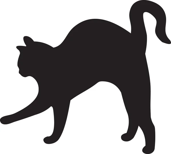 Vettore di gatti — Vettoriale Stock