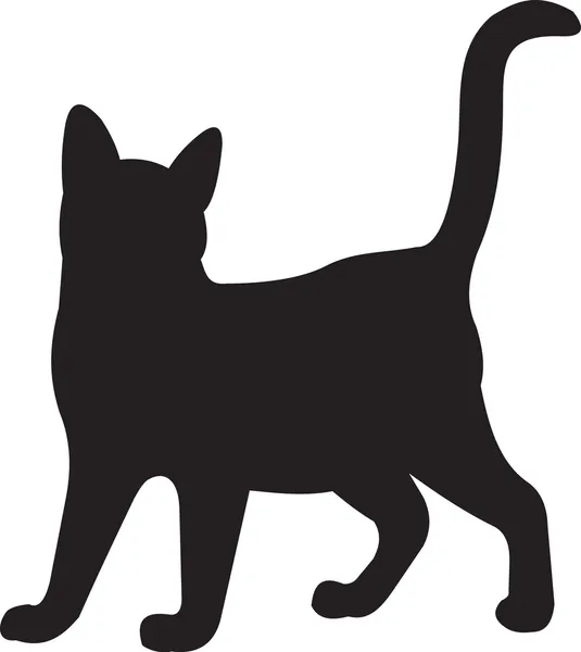 Katzenvektor — Stockvektor