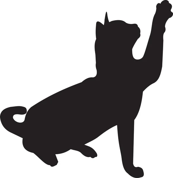 Vecteur chat — Image vectorielle
