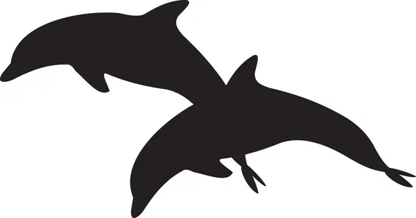 Delfinvektor — Stock Vector