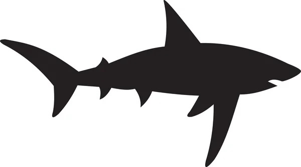 Shark vector — Stock Vector