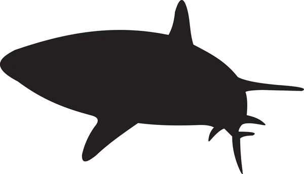 Vettore di squali — Vettoriale Stock