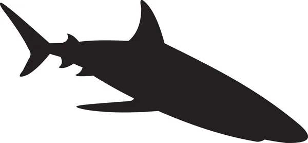 Köpekbalığı Vektörü — Stok Vektör