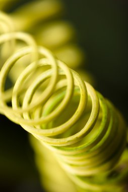 Abstract detail of climber plant clipart