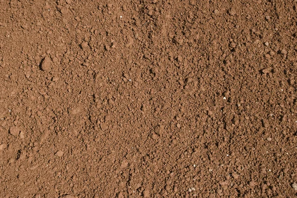 赤红壤 — 图库照片